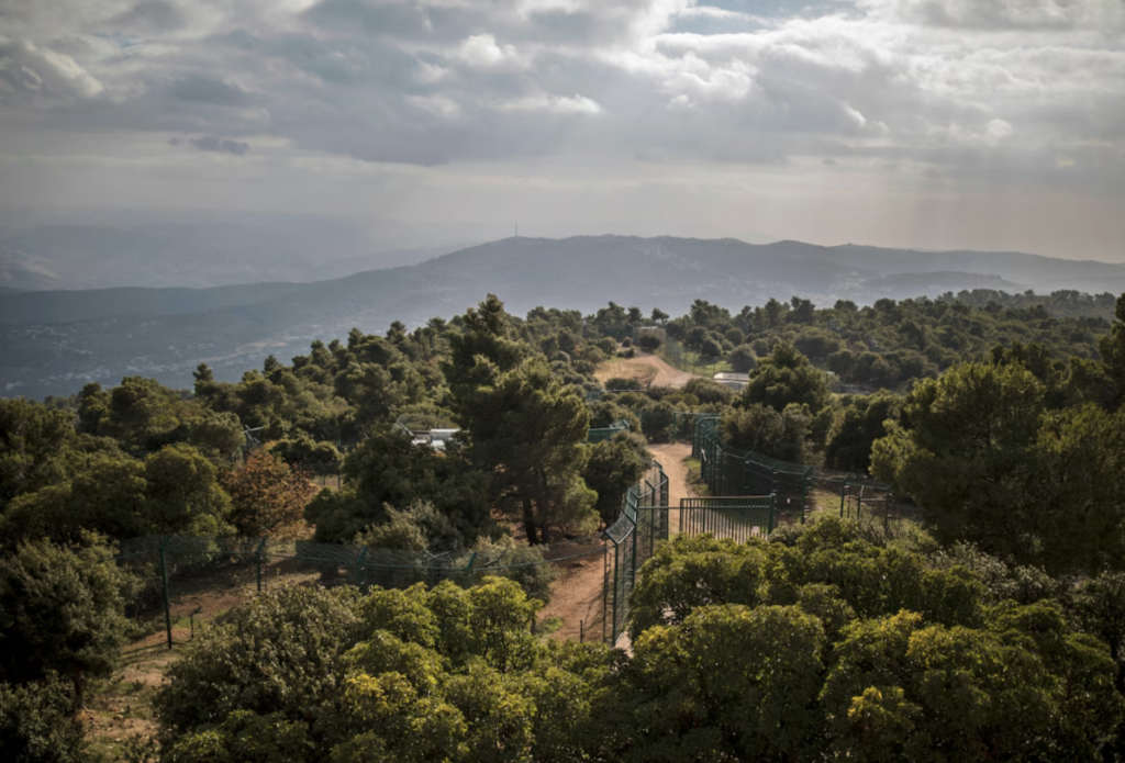 animales en Jordania